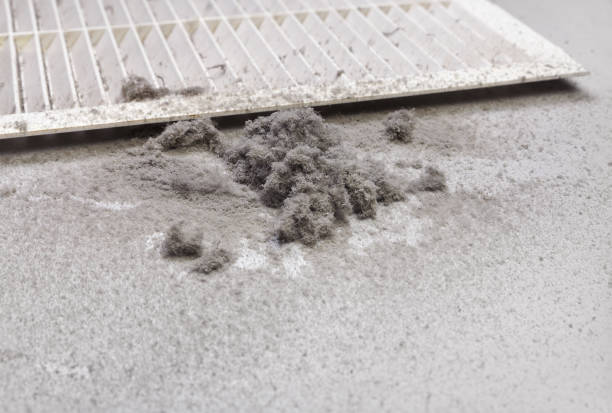 Best Air Duct Cleaning Near Me  in Bad Axe, MI