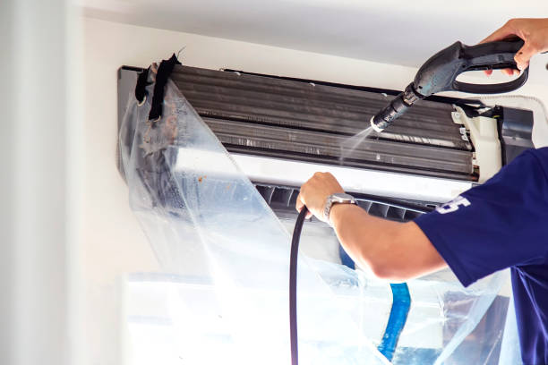 Best Home Air Vent Cleaning  in Bad Axe, MI