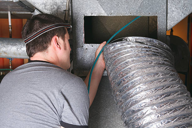 Best Professional Duct Cleaning Services  in Bad Axe, MI