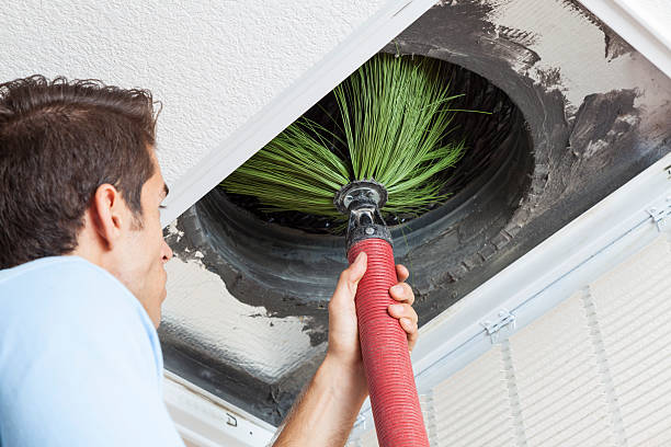 Best Ductwork Cleaning Services  in Bad Axe, MI